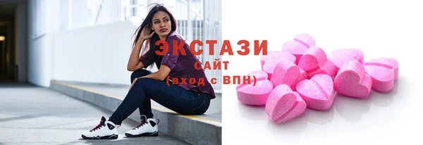 ECSTASY Богородицк