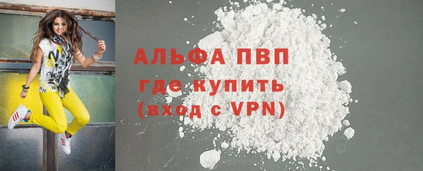 ECSTASY Богородицк